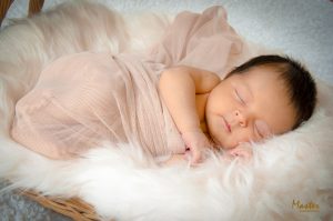 dsc_2128-lh